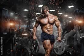 Muscular fitness goal - building strength and muscle mass